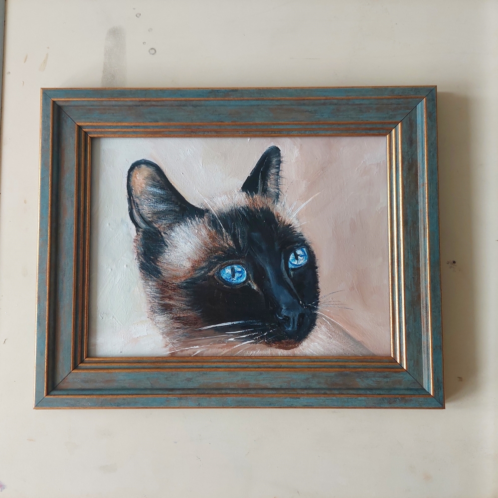 Siamese Cat