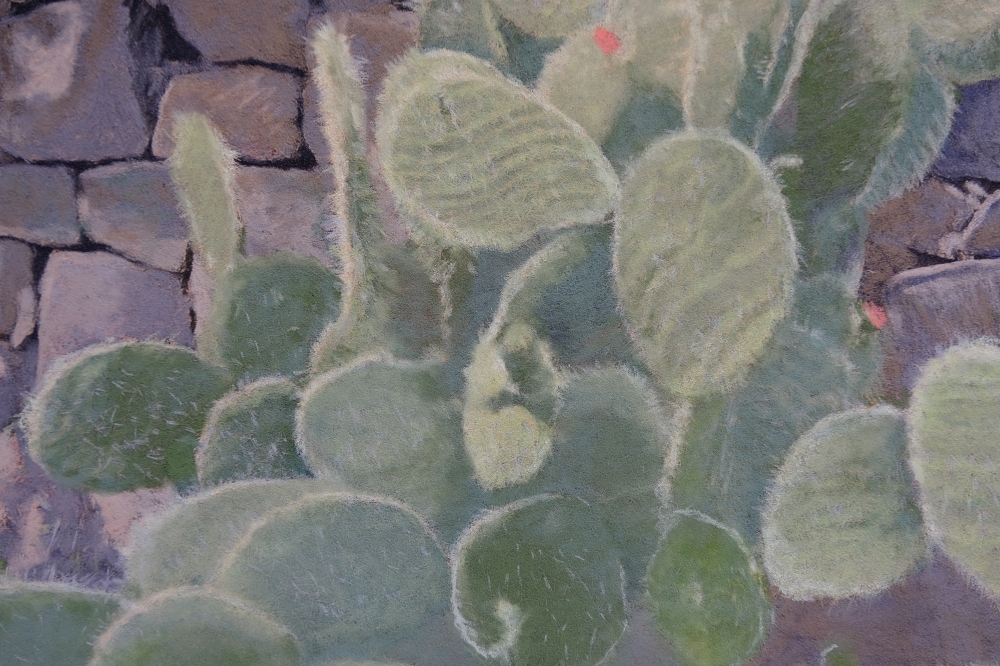 Tenerife Cactus No 2