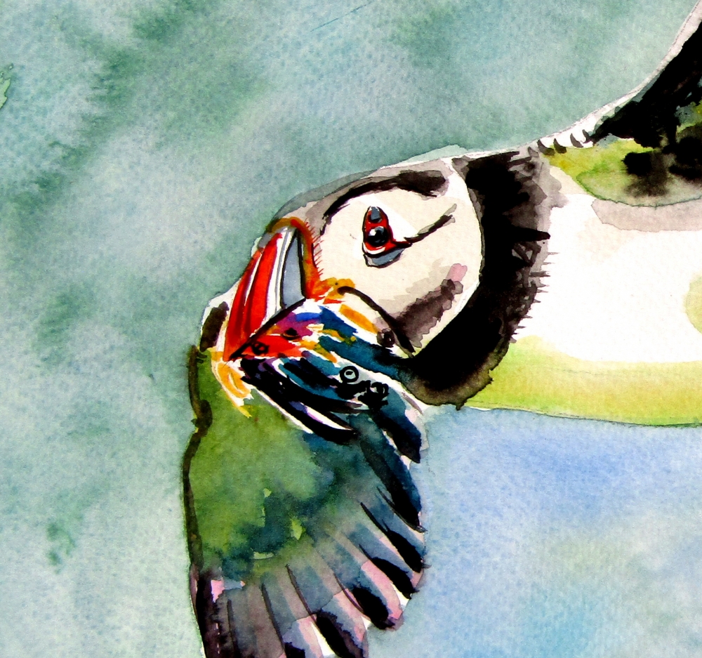 Flying puffin