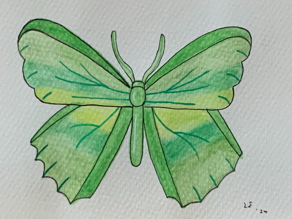 Green Butterfly Original Watercolour Pencil Drawing