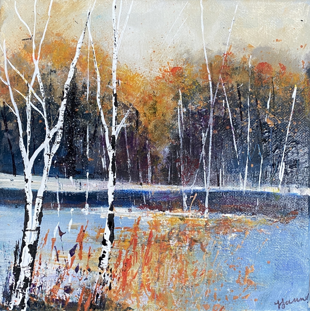 Winter Silver Birch Trees 