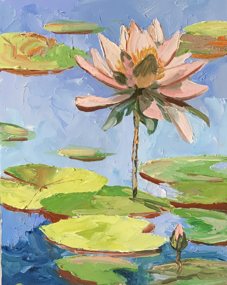 Lily pond landscape. Water Lilies pad.