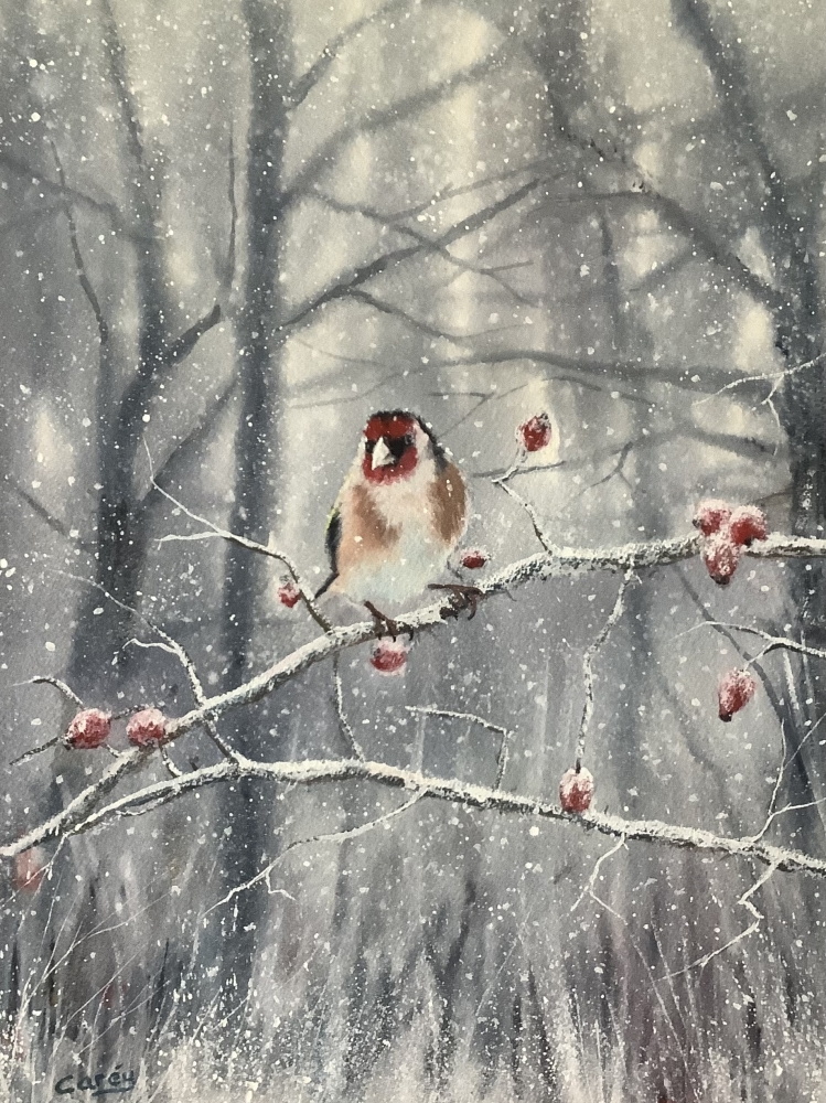 Winter goldfinch