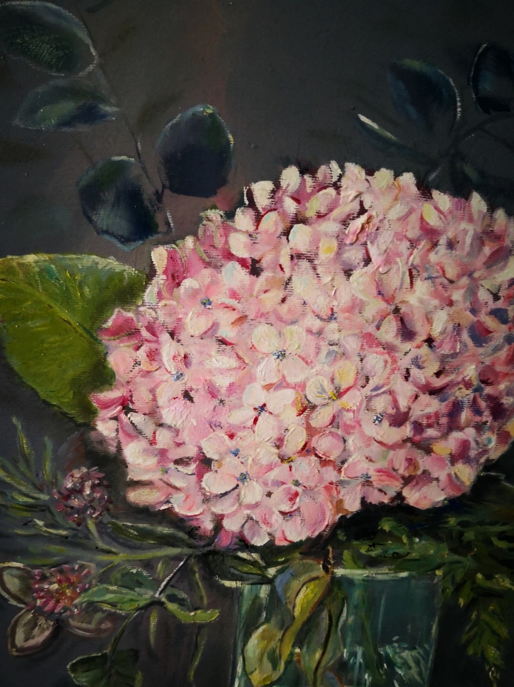 Hydrangea 003