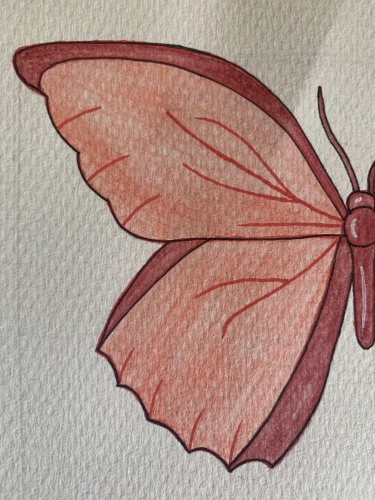 Original Red Butterfly Watercolour Pencil Drawing