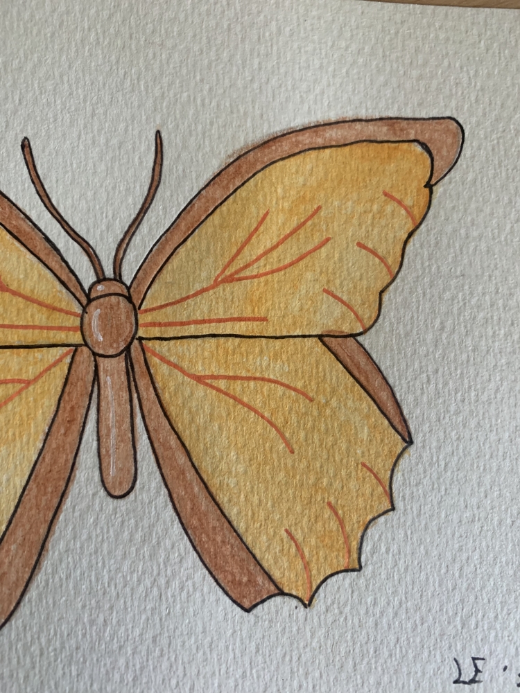 Orange Butter Original Watercolour Pencil Drawing