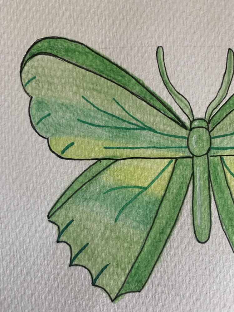 Green Butterfly Original Watercolour Pencil Drawing