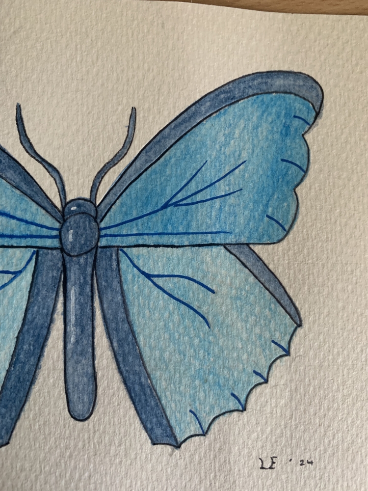 Blue Butterfly Original Watercolour Pencil Drawing