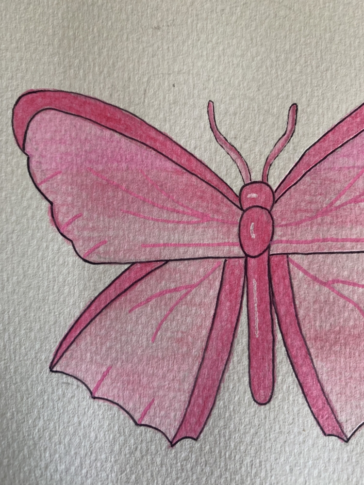 Pink Butterfly Original Watercolour Pencil Drawing