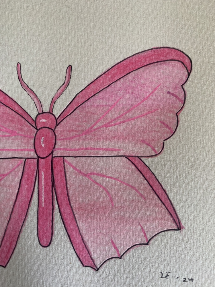 Pink Butterfly Original Watercolour Pencil Drawing