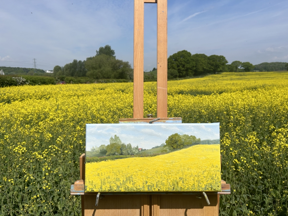 Rapeseed