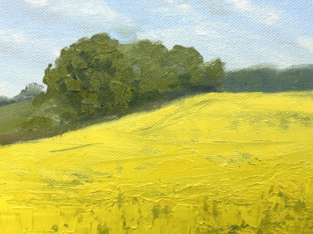 Rapeseed