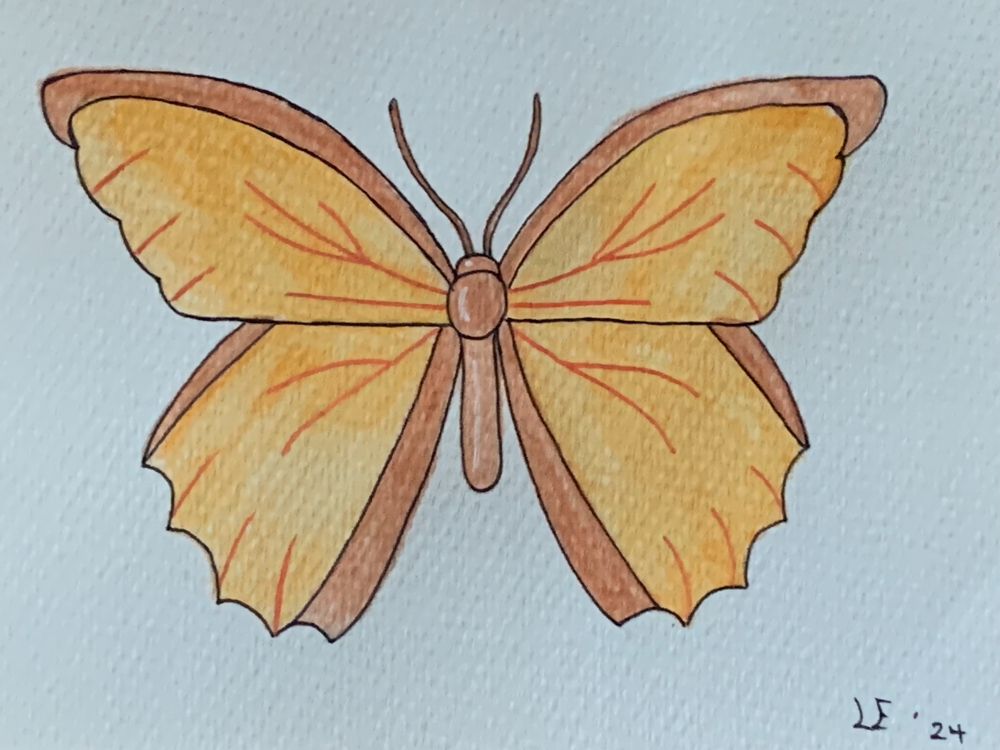 Orange Butter Original Watercolour Pencil Drawing