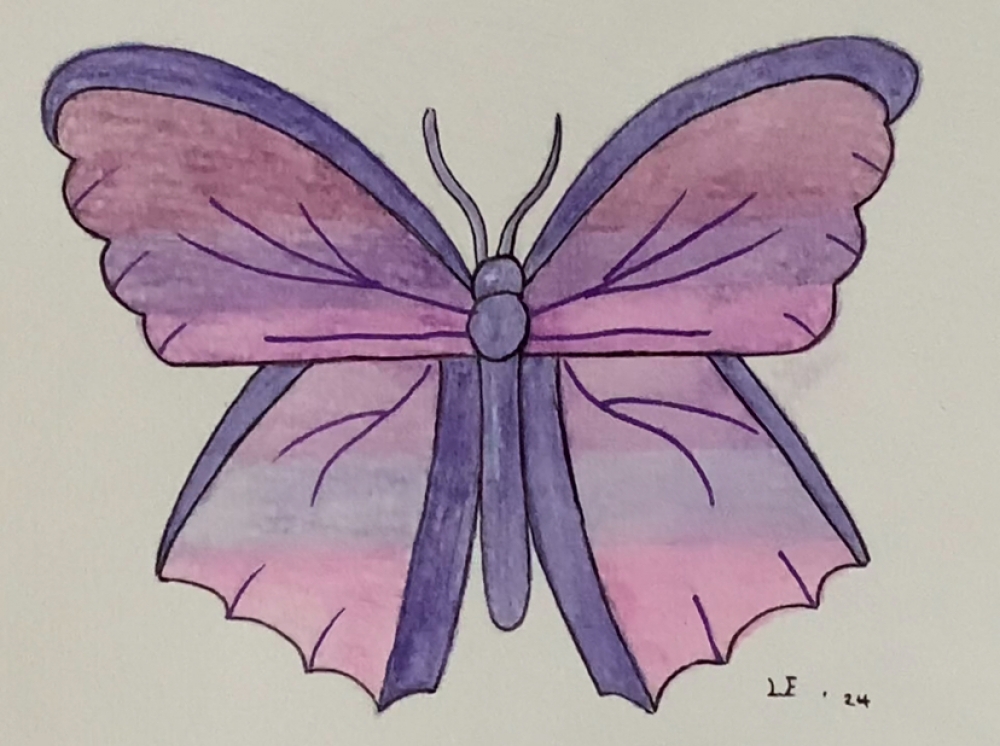 Purple Butterfly Original Watercolour Pencil Drawing