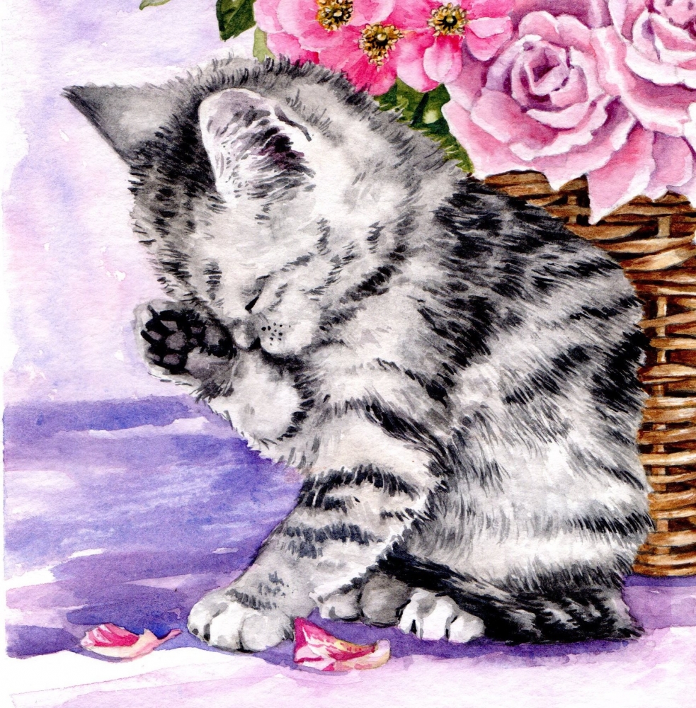 Kitten and Summer Flowers