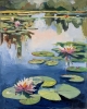 Pond with water lilies, landscape.