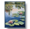 Pond with water lilies, landscape.