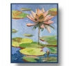 Lily pond landscape. Water Lilies pad.