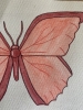 Original Red Butterfly Watercolour Pencil Drawing