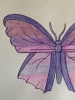 Purple Butterfly Original Watercolour Pencil Drawing