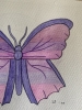 Purple Butterfly Original Watercolour Pencil Drawing