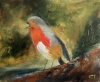 Robin Redbreast