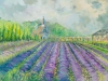 Lavender in Provence 2024 