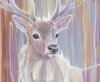 Stag Materializing