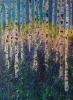 Birch Trees