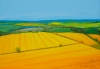 Yellow Fields - Summer Landscape