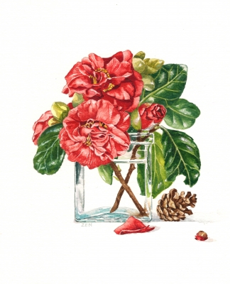 Red Camellia Flowers
