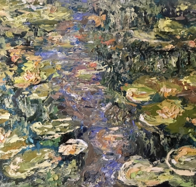 Waterlillies pond
