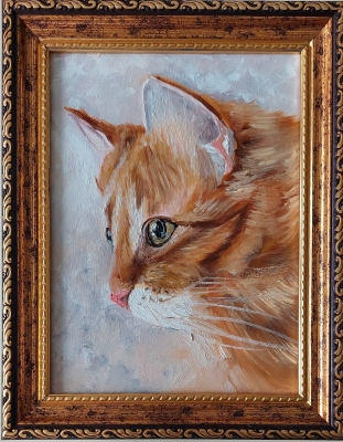 Ginger Cat