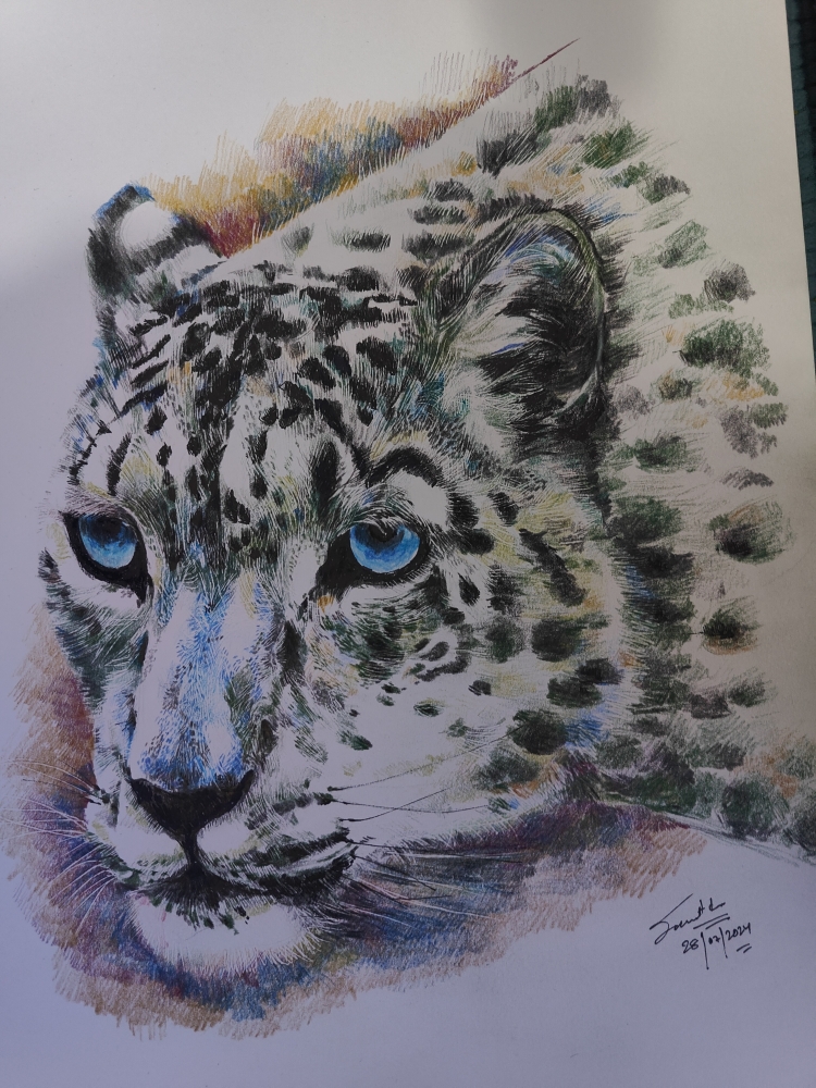 Snow leopard 