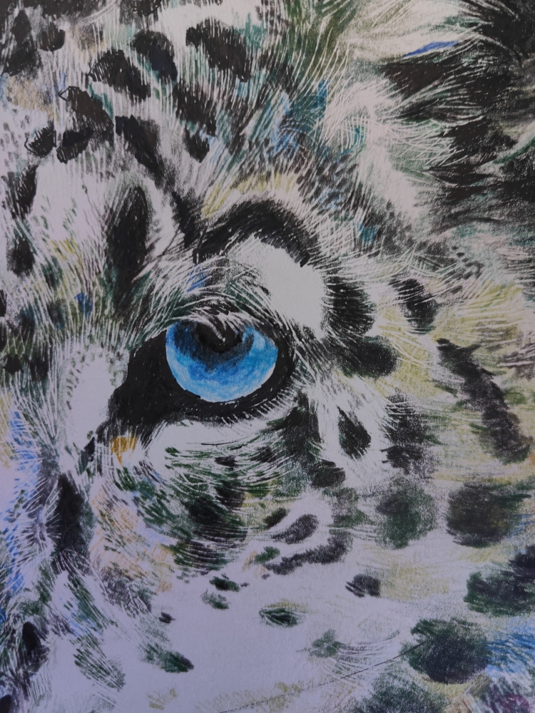 Snow leopard 