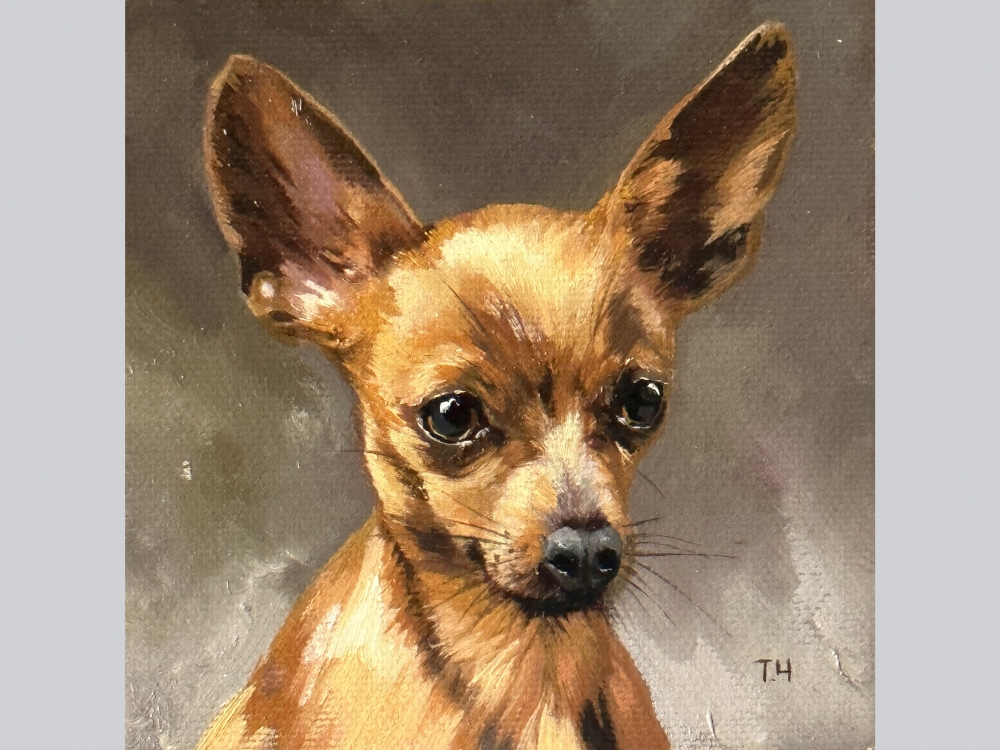 Miniature “Red-haired Chihuahua”