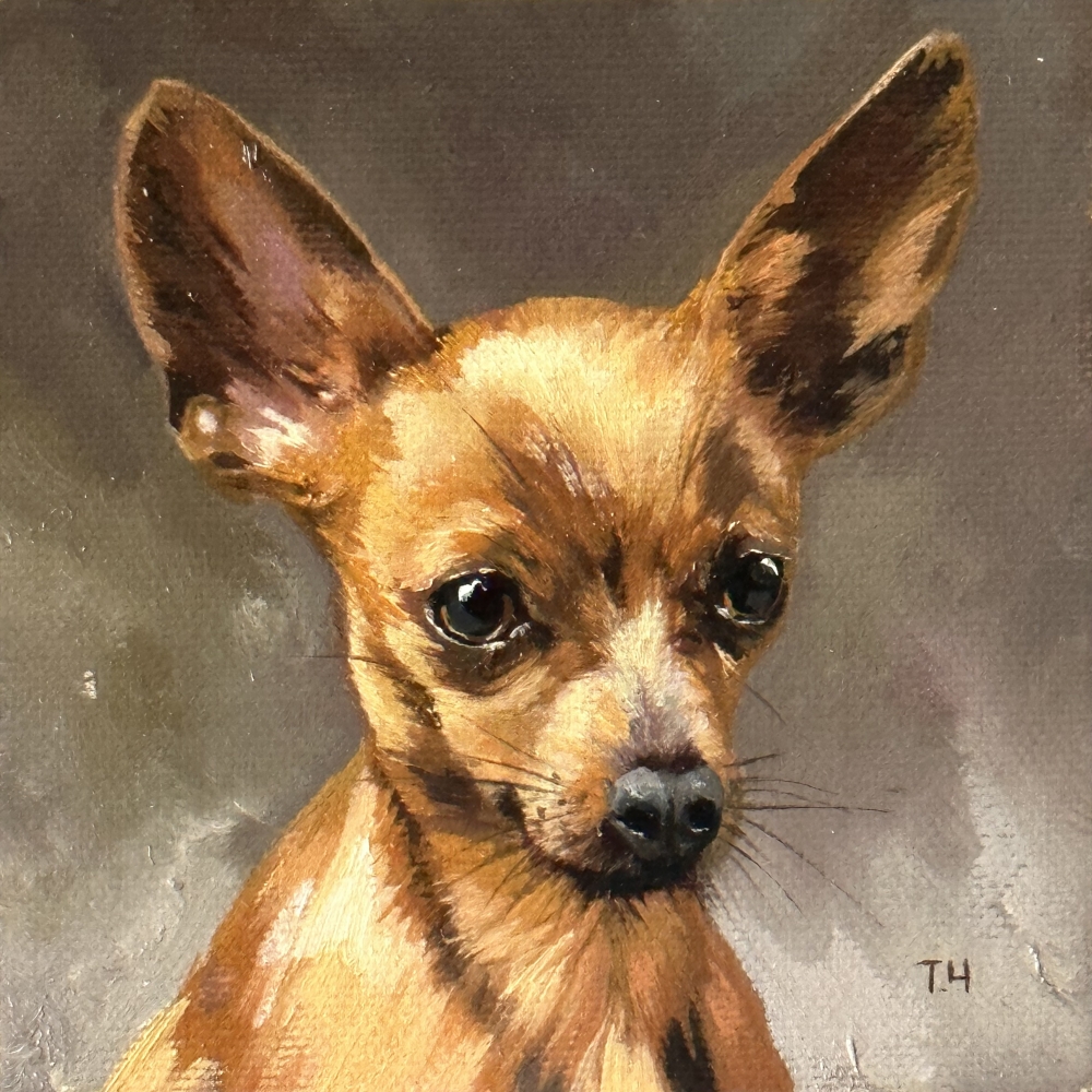 Miniature “Red-haired Chihuahua”