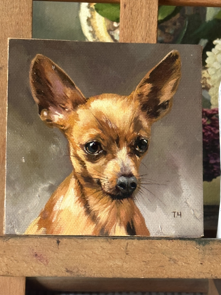 Miniature “Red-haired Chihuahua”