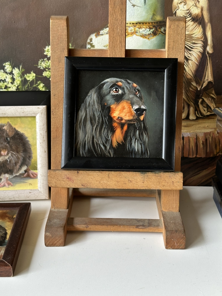 Miniature \"Longhaired black dachshund\"