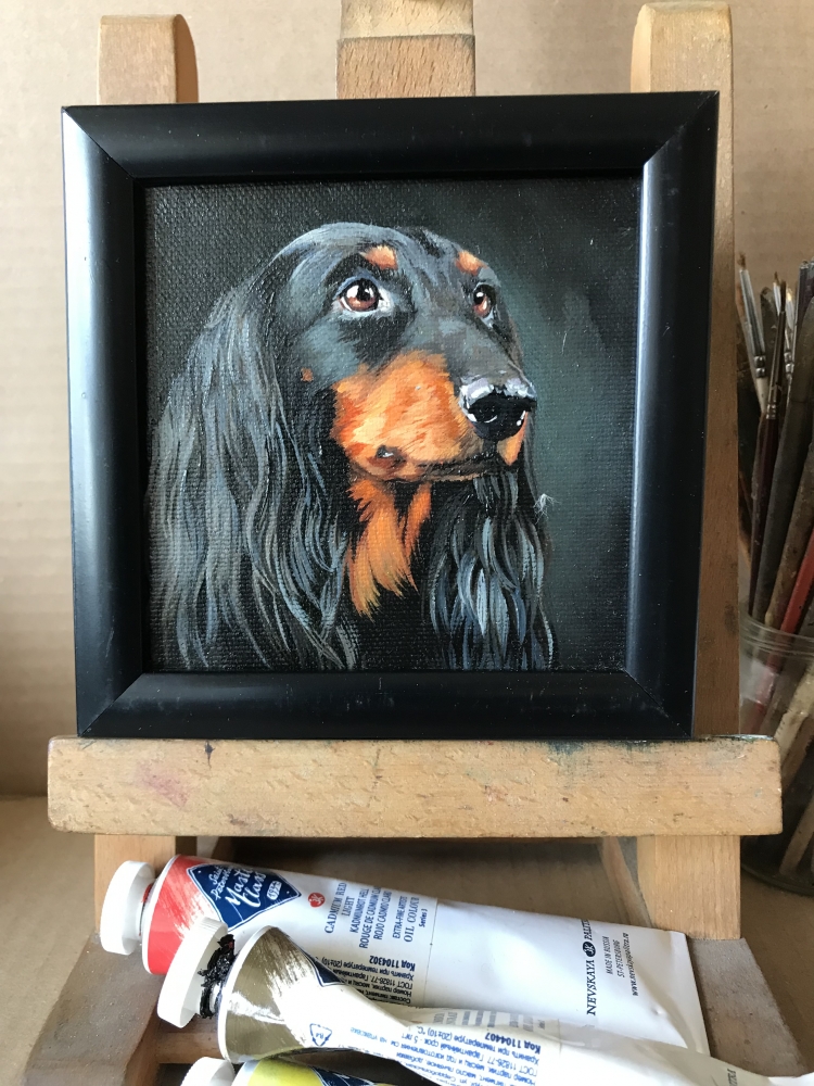 Miniature \"Longhaired black dachshund\"