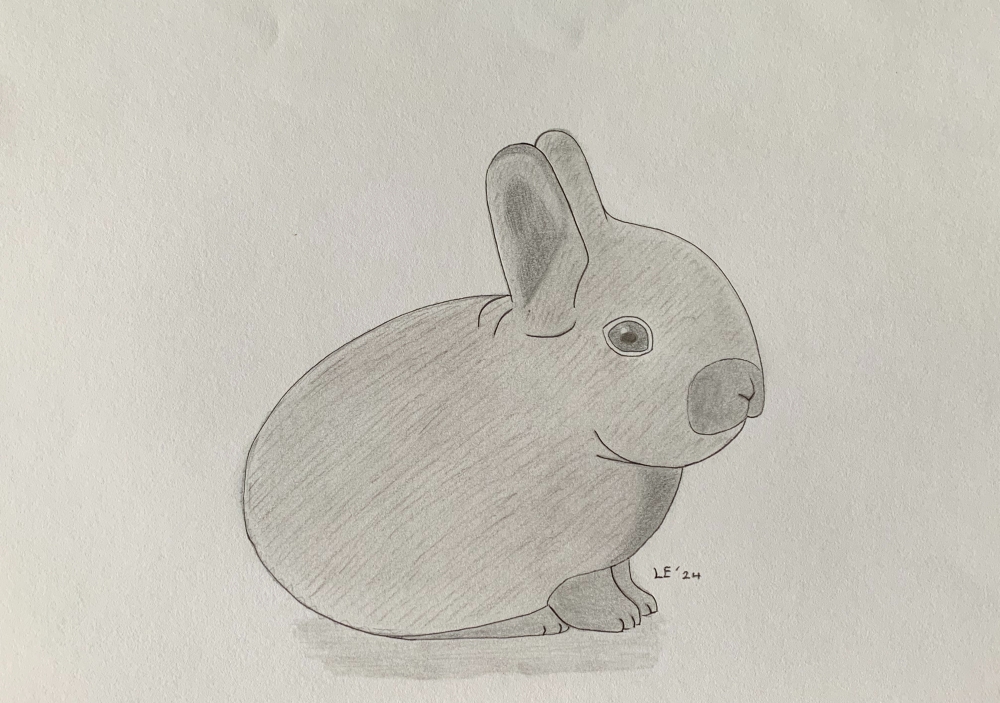 Baby Bunny - Original Pencil Drawing