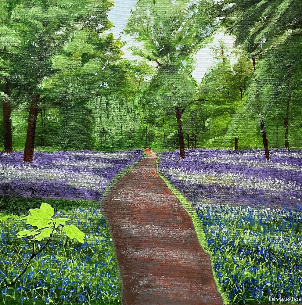 Bluebells