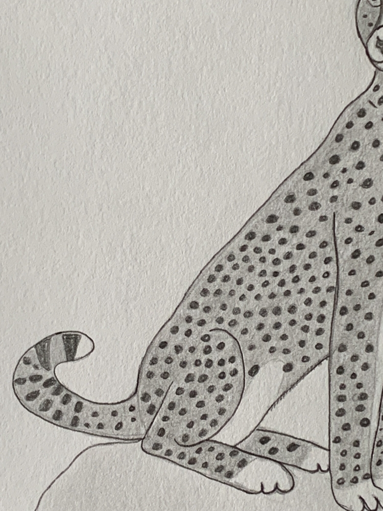 Cheetah - Original Pencil Drawing