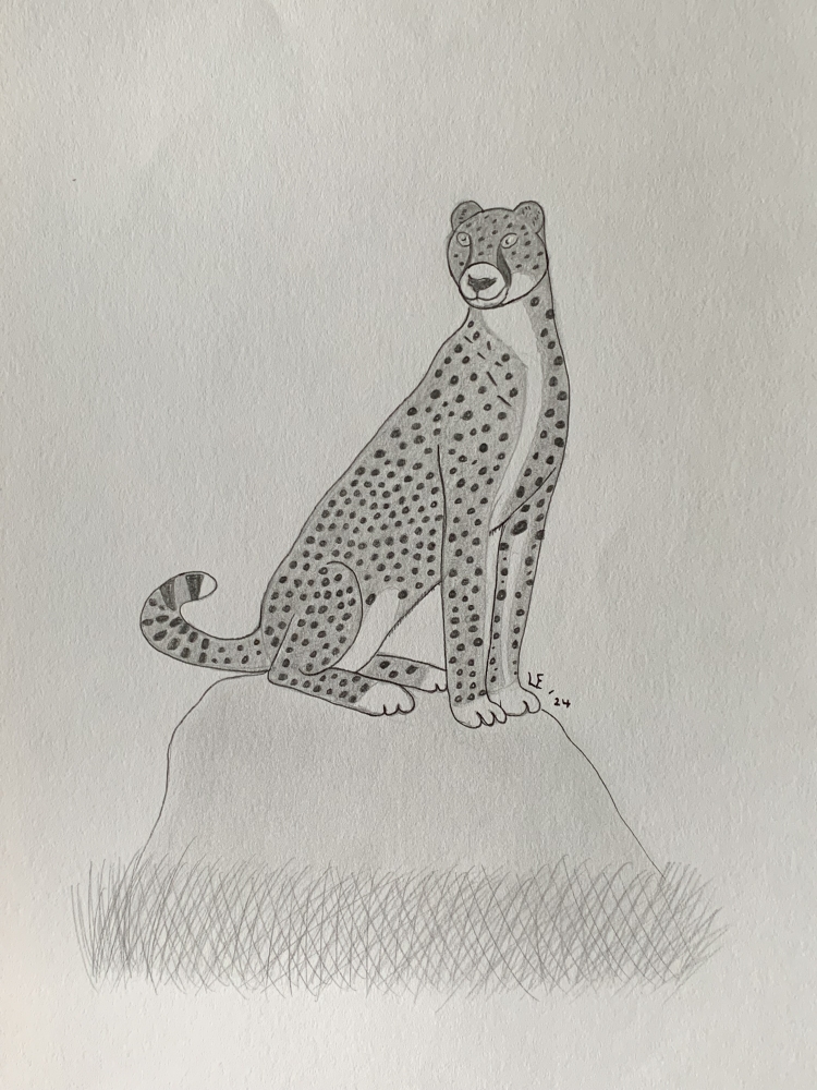 Cheetah - Original Pencil Drawing