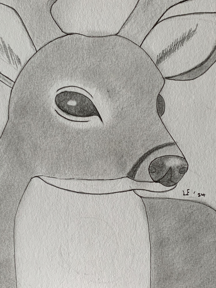 Deer - Original Pencil Drawing