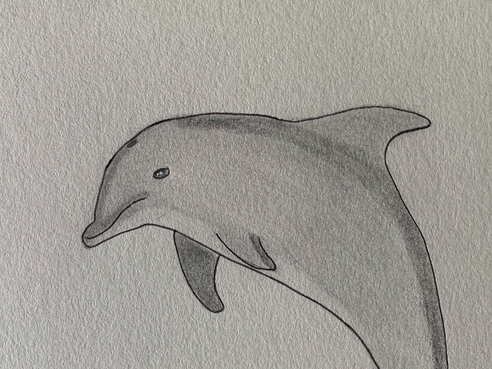 Dolphin - Original Pencil Drawing