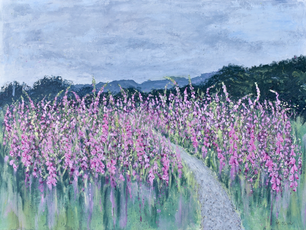 Foxgloves, LLyn Crafnant