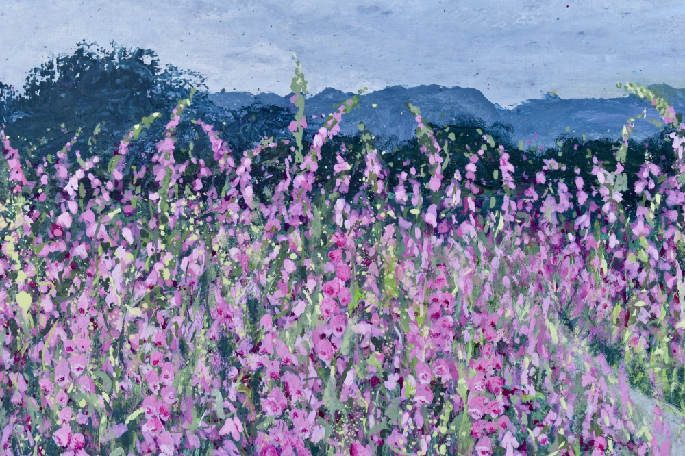 Foxgloves, LLyn Crafnant