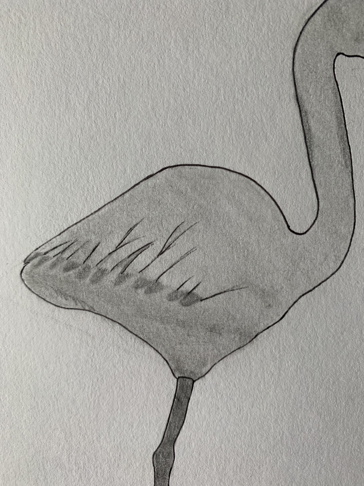 Flamingo - Original Pencil Drawing