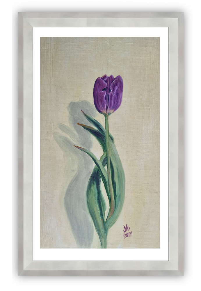 Tulip